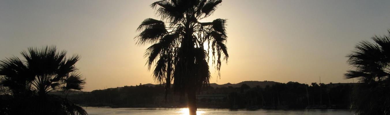 Sundowner